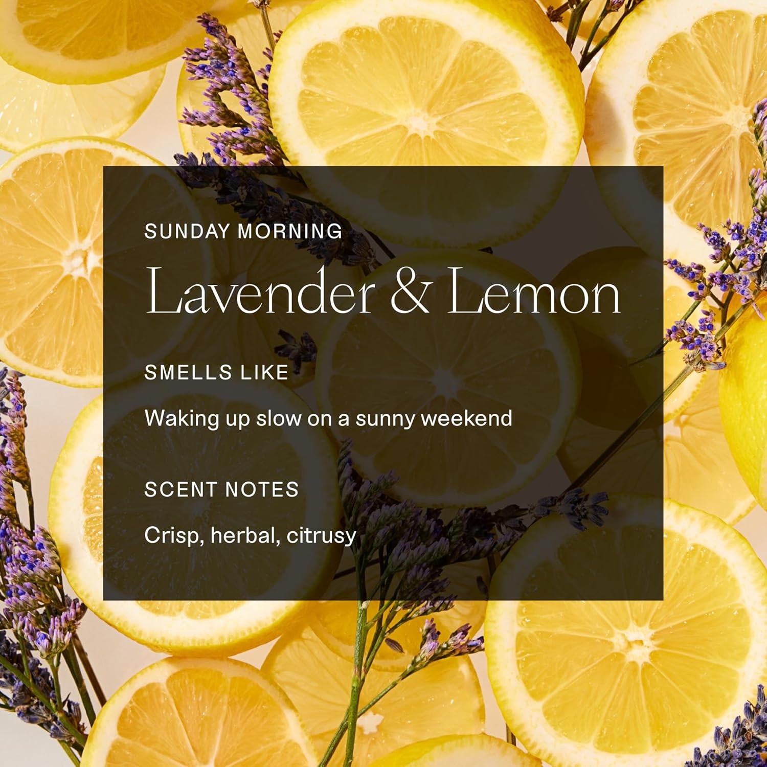 image:imageEach amp Every Body Wash for Women and Men Skin Feels Hydrated Smooth amp Soft Ceramides Lactic Acid AHA amp Moringa Oil 100 Natural Fragrance Gel Eternal Summer Coconut amp Lime 165 Fl OzLavender Lemon