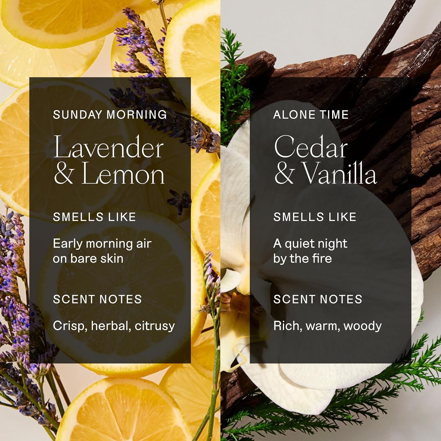 image:imageEach amp Every Natural Deodorant Vegan 2 Pack 25oz Cucumber amp Cypress AluminumFree Deodorant for Women amp Men with 72Hour Odor Protection Baking SodaFree DeodorantLavender Lemon Cedar Vanilla